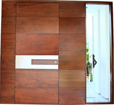 Modern Doors